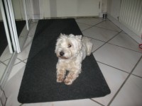 /album/photos/pour-site-2-3-jpg/